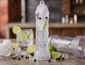 Gin & Tonic Cocktail Sorbet
